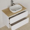 Modulo dos cajones con lavabo oval